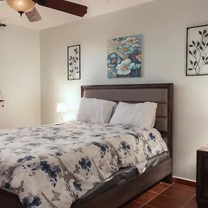 Tropical Caribbean Penthouse Apartment Fajardo
